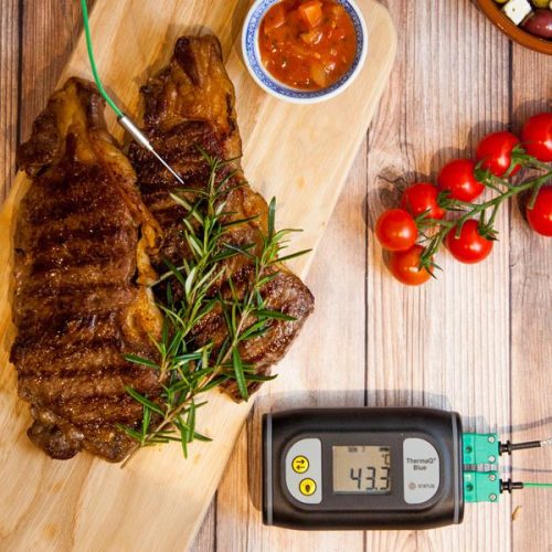 Alternative view of ETI ThermaQ® Blue Termometer